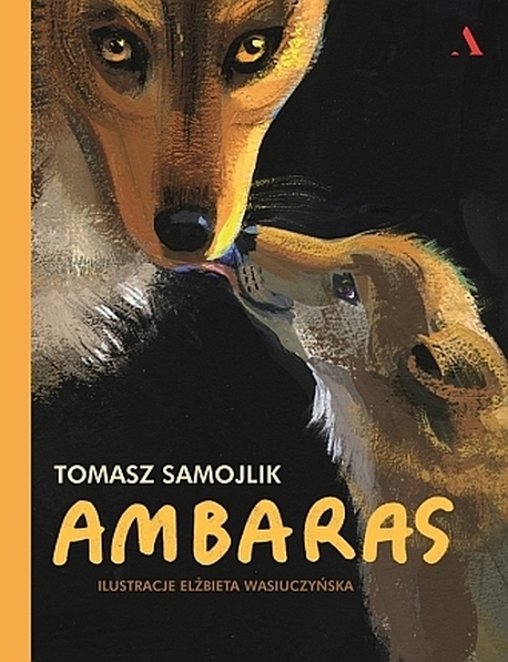 Ambaras (1)